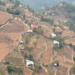 Steep slopes turn productive in Thangrong